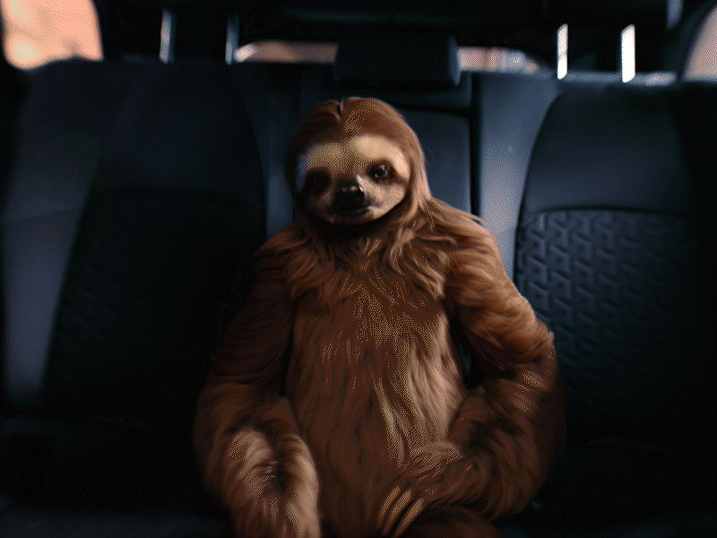 Coboară din mașină și vede clădirea frumos împodobită