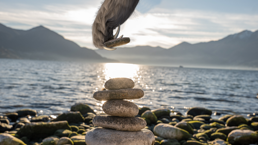 Karma cu Subscription Manager