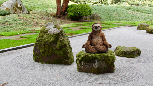 Feng-Shui financiar cu Investiții